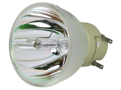 Projectorlamp PHILIPS bulb for OPTOMA BL-FP195B, SP.79C01GC01 or projector GT1080DARBEE, VDGTGZBZDarbee
