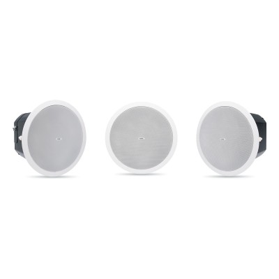 6.5" Dual voice-coil ceiling subwoofer, provides High-pass output for up to four