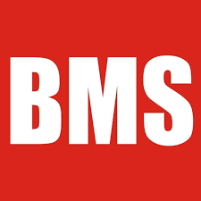 BMS 4590 GUMMI - Foam rubber attachment for BMS4590