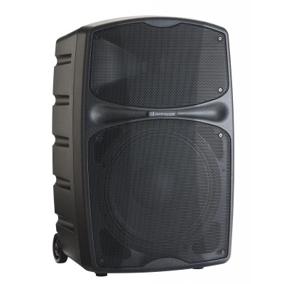 Battery-powered 12" portable speaker 250Wrms with USB/SD/BT5.0 drive + talkover + effect