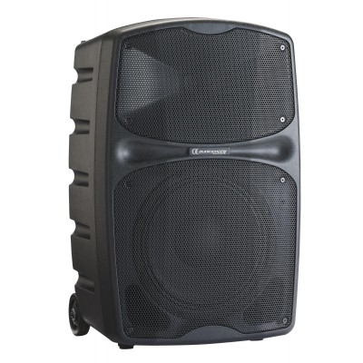 Battery-powered 10" portable speaker 120Wrms with USB/SD/BT5.0 drive + talkover + effect