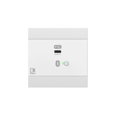 Network input panel - USB Type-C + BT (4 CH) White version