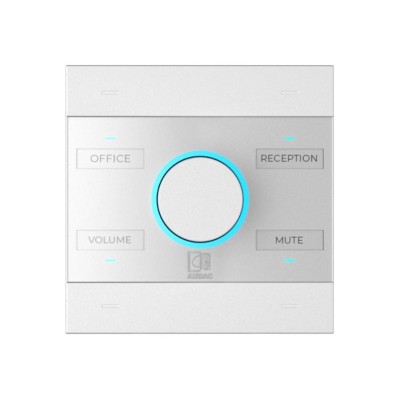 Universal network/PoE wall panel controller White version