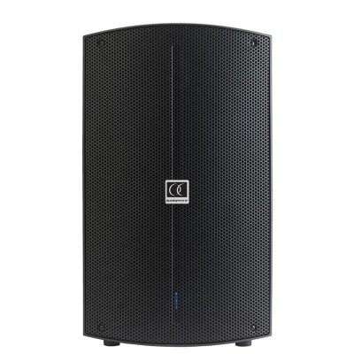  Audiophony ATOM 10A - active 300w Speaker 10" whitch dsp
