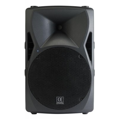 SX12A - Active speaker 2 ways 250W 12 inches VERVANGEN DOOR PSA12!