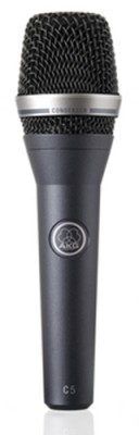 Professional condenser vocal microphone - for lead and backing vocals
