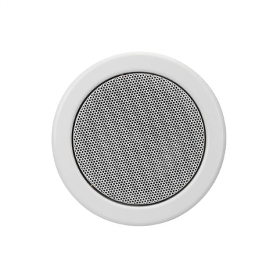 (12) 5.25" built-in ceiling speaker made of powder coated steel (RAL 9010 equiva