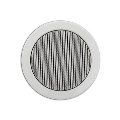 (12) 6.5? built-in ceiling speaker made of powder coated steel (RAL 9010 equival