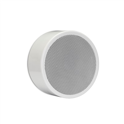 (12) 6.5" surface mounted round speaker made of powder coated steel (RAL 9010 eq