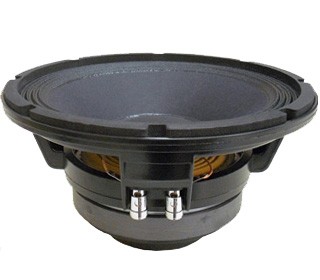 Full range coaxial speaker - 250 W RMS - 10 + 1