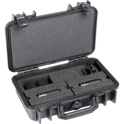 d:dicate 4011C Stereo Pair with Clips and Windscreens in Peli Case