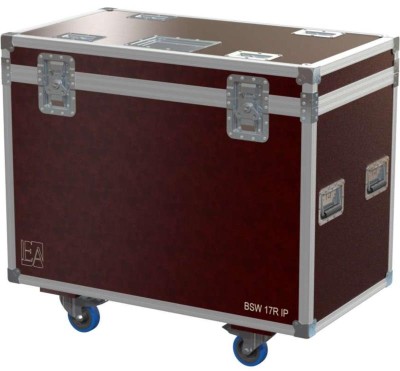 Flight Cases For 2 Lyres Bsw 17 R Type