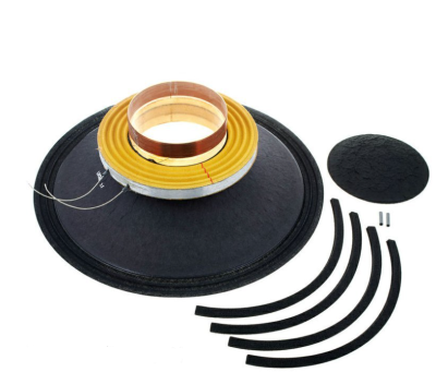 Eminence R Delta 10 A - Re-Cone Kit for ED10 10&quot; Speaker 8 Ohm