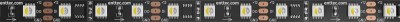 Enttec 8PXW60-F-12-B - 60 LEDS/METER BLACK PCB 12V PIXEL TAPE - 5M (RGBW)