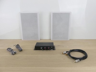 Platte 40W muur speakers (2 stuks, wit)