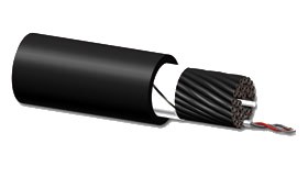 Balanced signal cable - 40 pairs x 0.125 mmý - 26 AWG 1 meter