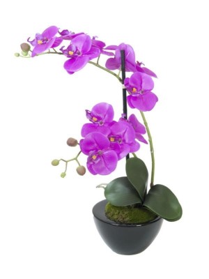 EUROPALMS Orchid arrangement 4, artificial