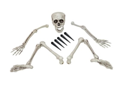 EUROPALMS Halloween Skeleton, multipart