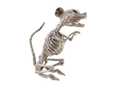 EUROPALMS Halloween Skeleton Rat, 32x10x16cm