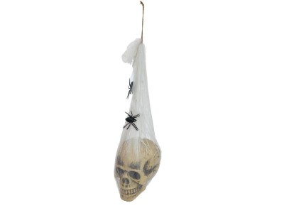 EUROPALMS Halloween Figure Skull in Spider Web, 30cm