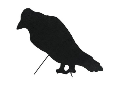 EUROPALMS Silhouette Crow, 63cm