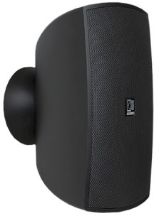 Audac 8 Ohm speakers